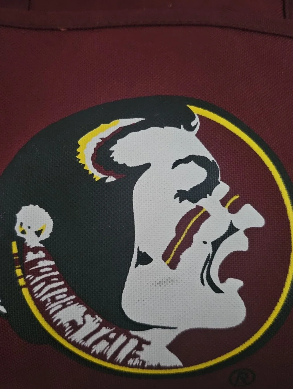 Florida State Seminoles Insulated Cooler Bag Garnet FSU Tailgate Lunch Tote